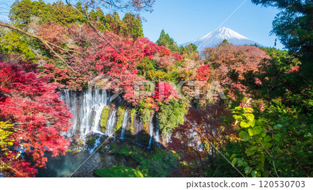 Shiraito Falls and Mt. Fuji (Autumn) 120530703