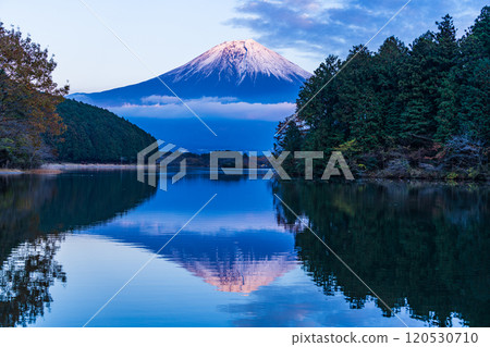 （靜岡縣）從狸湖富嶽露台眺望雪山富士山的夜景 120530710