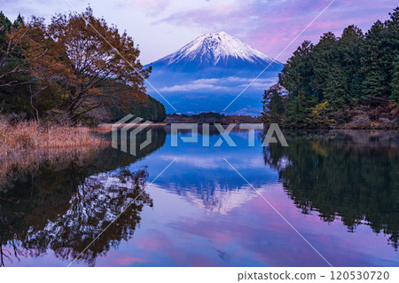 （靜岡縣）從狸湖富嶽露台眺望雪山富士山的夜景 120530720