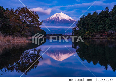 (靜岡縣)從狸湖富嶽露台眺望雪山富士山的夜景 (靜岡縣)從狸湖富嶽露台眺望雪山富士山的夜景 120530732