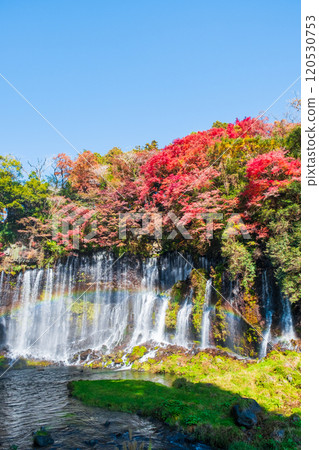 Shiraito Falls (Autumn) [Fujinomiya City] 120530753