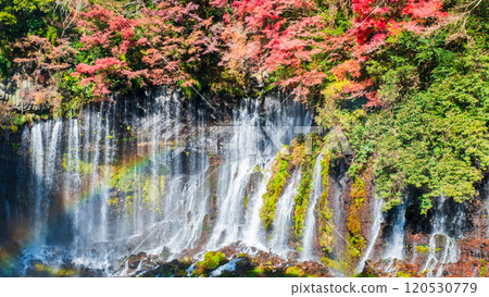 Shiraito Falls (Autumn) [Fujinomiya City] 120530779