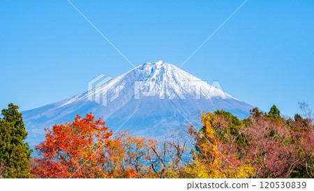  富士山和富士山 120530839