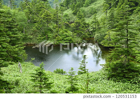Shiga Kogen Kurohime Pond Shiga Kogen Kurohime Pond 120531153