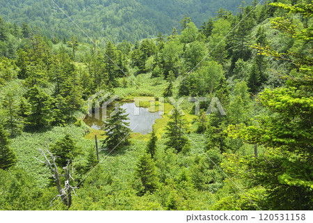 Shiga Kogen Demon Sumo Arena Pond 120531158
