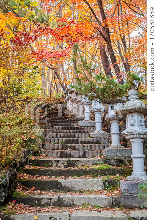 Sapporo in autumn, Hokkaido Sapporo in autumn, Hokkaido 120531339