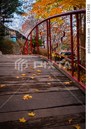 北海道 秋天 札幌 北海道 秋天 札幌 120531408