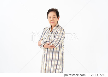 高級女性肖像 120531599
