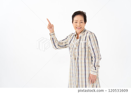 高級女性肖像指向 120531609