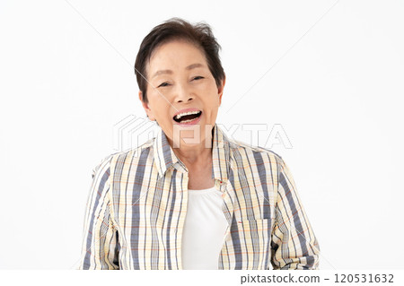 高級女性肖像 120531632