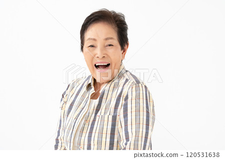 高級女性肖像 120531638