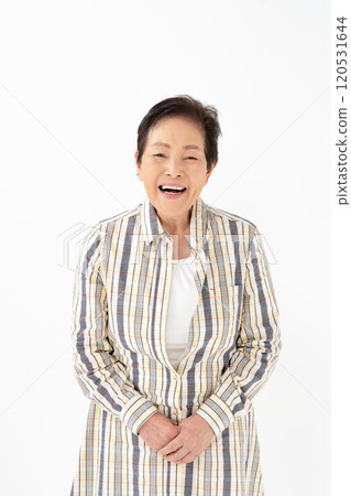 高級女性肖像 120531644