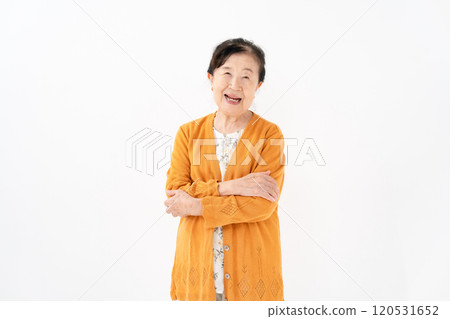 高級女性肖像 120531652