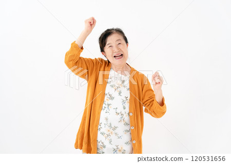 高級女性肖像拳頭泵 120531656