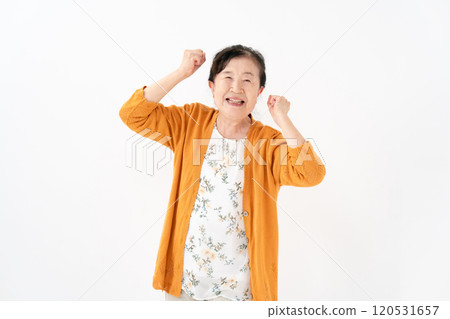 高級女性肖像拳頭泵 120531657