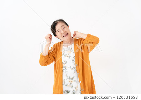 高級女性肖像拳頭泵 120531658