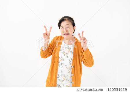 高級女性肖像片 120531659