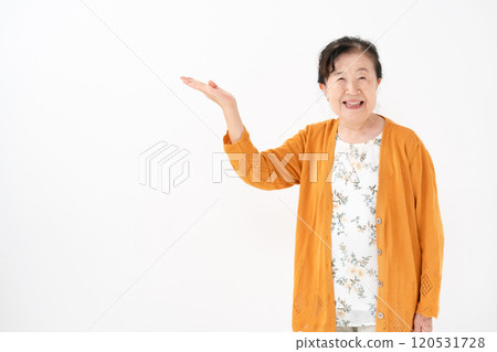 手持高級女性肖像 120531728