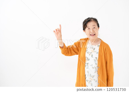 Senior woman portrait pointing Senior woman portrait pointing 120531730