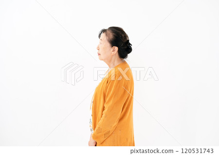 高級女性肖像輪廓 120531743