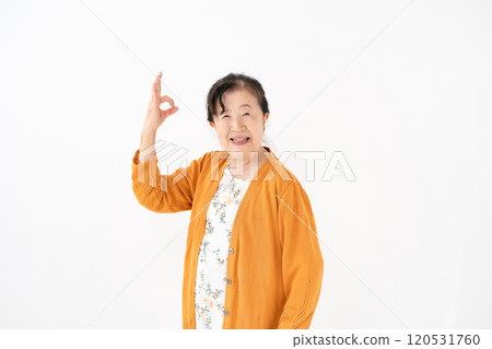 高級女性肖像OK 120531760