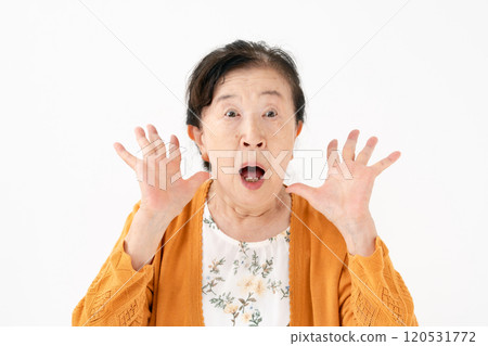高級女性肖像驚訝 120531772