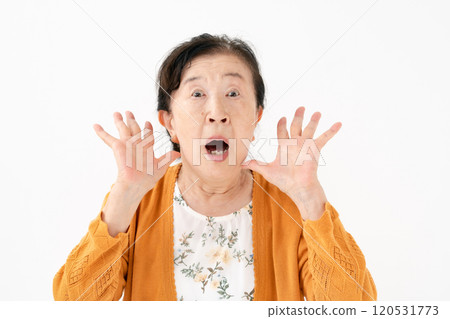 高級女性肖像驚訝 120531773