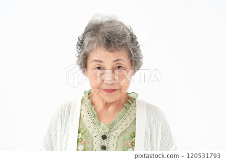 高級女性肖像 120531793