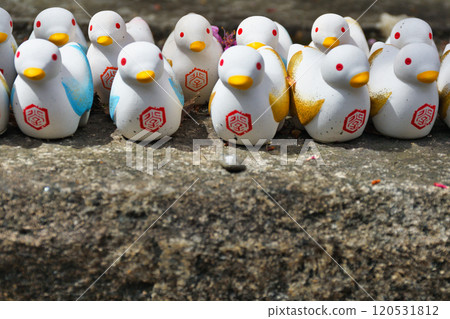 京都紫雲山長法寺六角堂鴿財（京都市中京區） 120531812