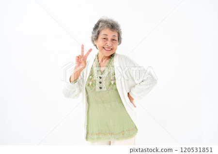 高級女性肖像片 120531851