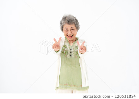 高級女性肖像片 120531854