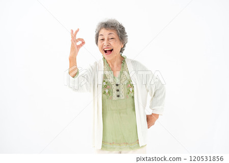 高級女性肖像OK 120531856