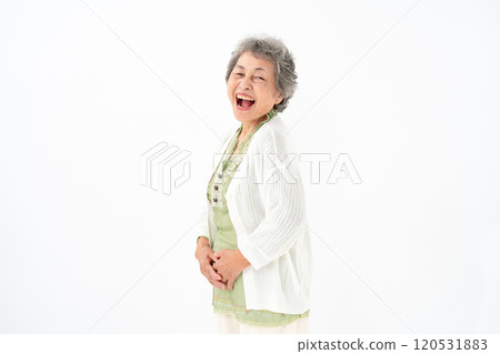 高級女性肖像 120531883