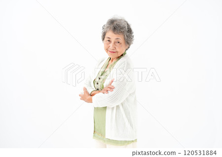 高級女性肖像 120531884