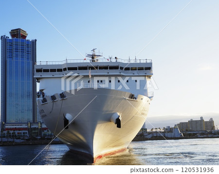 向日葵紫色到來 120531936