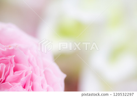 花卉背景圖片（照片素材） 120532297