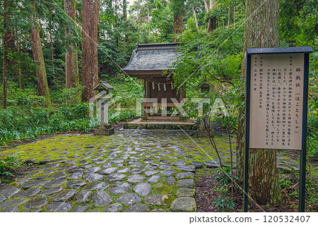 靜岡遠州一宮小國神社報古社 120532407