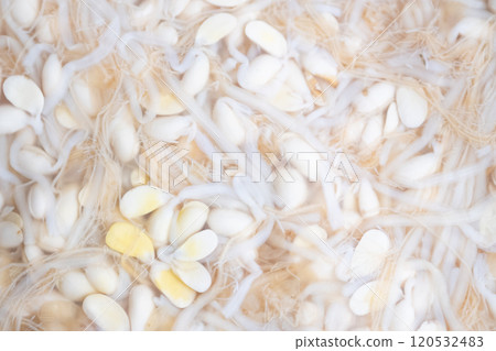 Image of bean sprout namul in a plastic bag (stock photo) 120532483