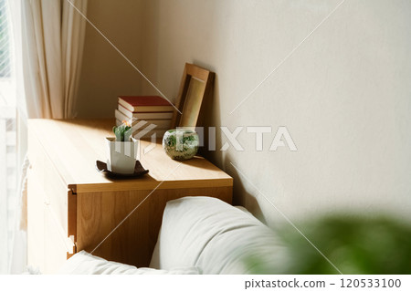 觀賞植物來裝飾您的空間 120533100