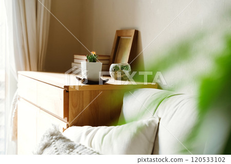 觀賞植物來裝飾您的空間 120533102