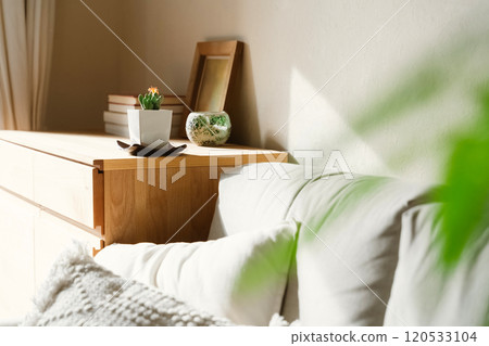 觀賞植物來裝飾您的空間 120533104