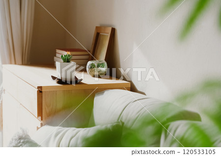 觀賞植物來裝飾您的空間 120533105