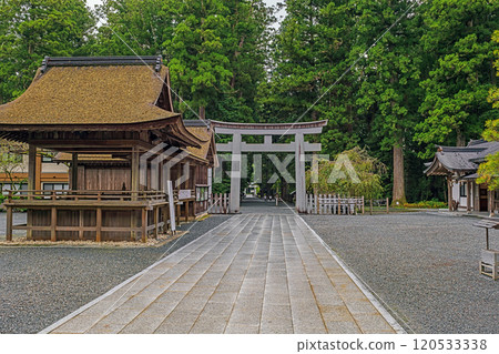 Scenery of the grounds of Enshu Ichinomiya Oguni Shrine in Shizuoka 120533338