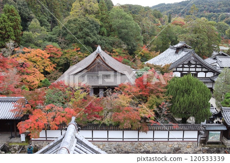 Kyoto, Autumn leaf viewing, Autumn leaf viewing spots, Autumn leaves, Shrines, Temples, Inbound, Kyoto City, Autumn, Four seasons, Ponds, Gardens Kyoto, Autumn leaf viewing, Autumn leaf viewing spots, Autumn leaves, Shrines, Temples, Inbound, Kyoto City, Autumn, Four seasons, Ponds, Gardens 120533339
