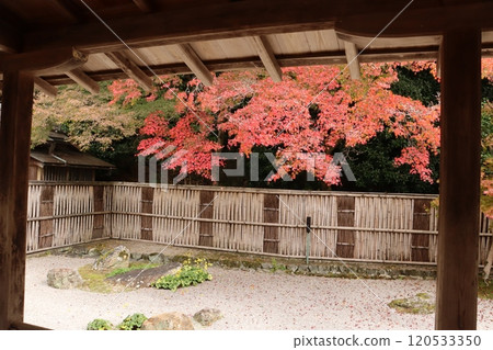 京都秋葉觀賞秋葉景點秋葉神社入境京都市秋季四時池塘花園 京都秋葉觀賞秋葉景點秋葉神社入境京都市秋季四時池塘花園 120533350