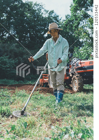 A woman cutting weeds around a field with a brush cutter A woman cutting weeds around a field with a brush cutter 120533442