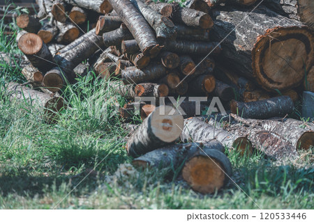 Making firewood 120533446
