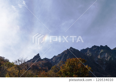 幻影太陽和圍繞太陽的光環右側的光環[大氣光學現象] 群馬縣 2024.10.31 120534010