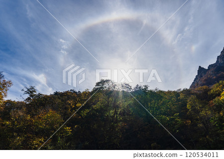 圍繞太陽的日暈和兩側出現的幻日【大氣光學現象】群馬縣 2024.10.31 120534011