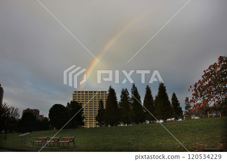 天空突然出現了一道巨大的彩虹。公園裡的人們看著秋天的傍晚景色,發出歡呼聲。 天空突然出現了一道巨大的彩虹。公園裡的人們看著秋天的傍晚景色,發出歡呼聲。 120534229